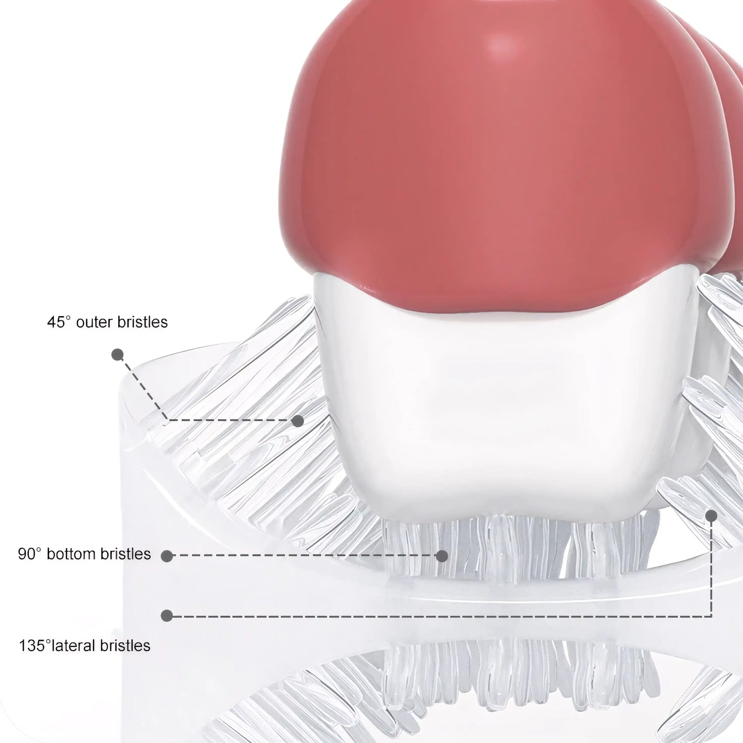 SmileWrap Brush - Let There Be Cute