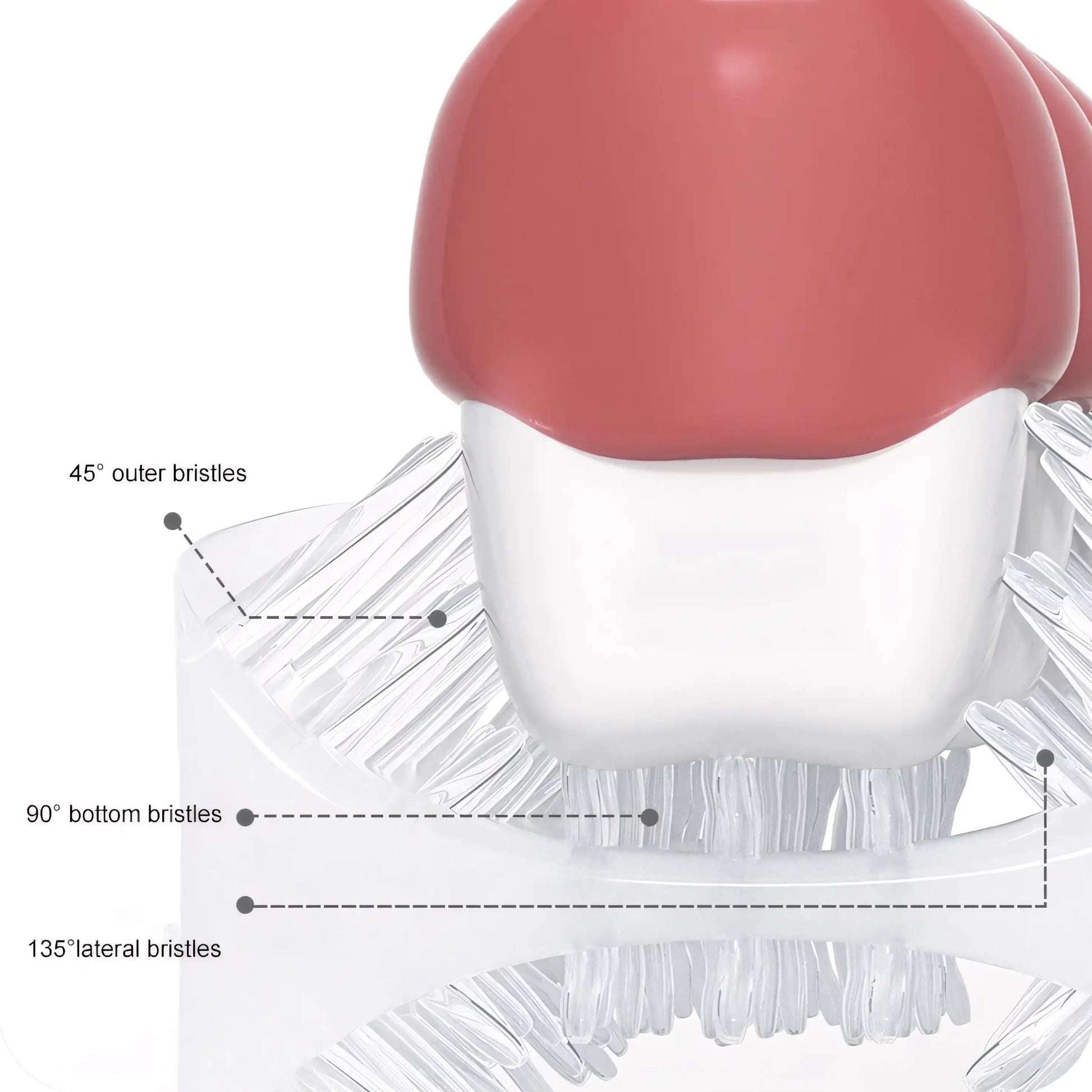 SmileWrap Brush - Let There Be Cute