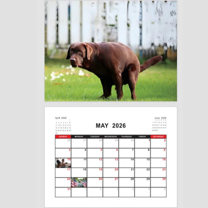 Dogs Pooping in Beautiful Places – 2026 Wall Calendar - Let There Be Cute