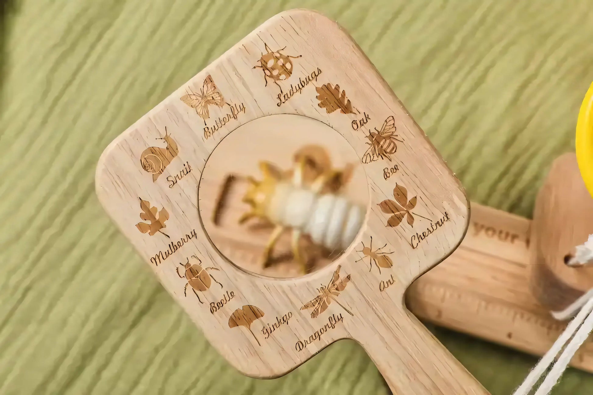 Little Bug Boss Discovery Kit - Let There Be Cute