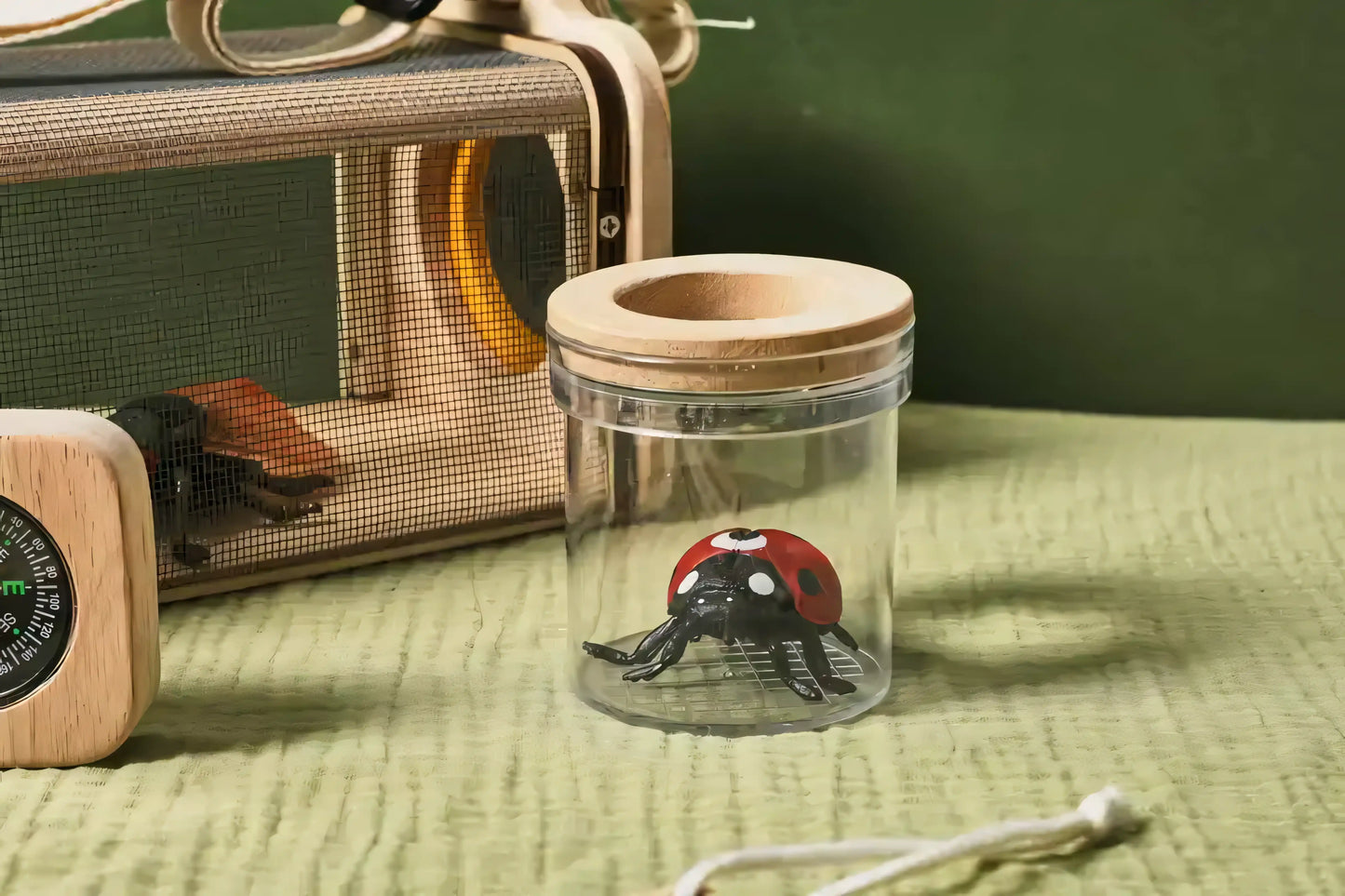 Little Bug Boss Discovery Kit - Let There Be Cute