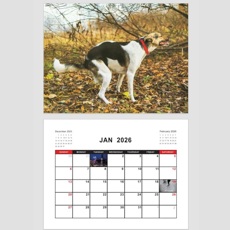 Dogs Pooping in Beautiful Places – 2026 Wall Calendar - Let There Be Cute