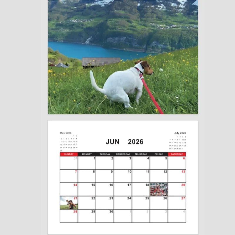 Dogs Pooping in Beautiful Places – 2026 Wall Calendar - Let There Be Cute