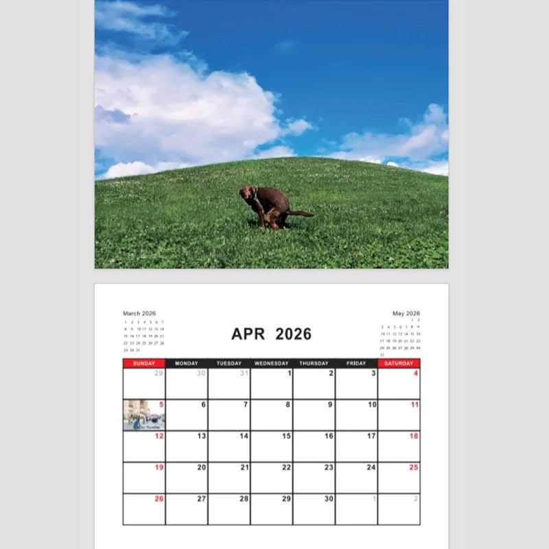 Dogs Pooping in Beautiful Places – 2026 Wall Calendar - Let There Be Cute
