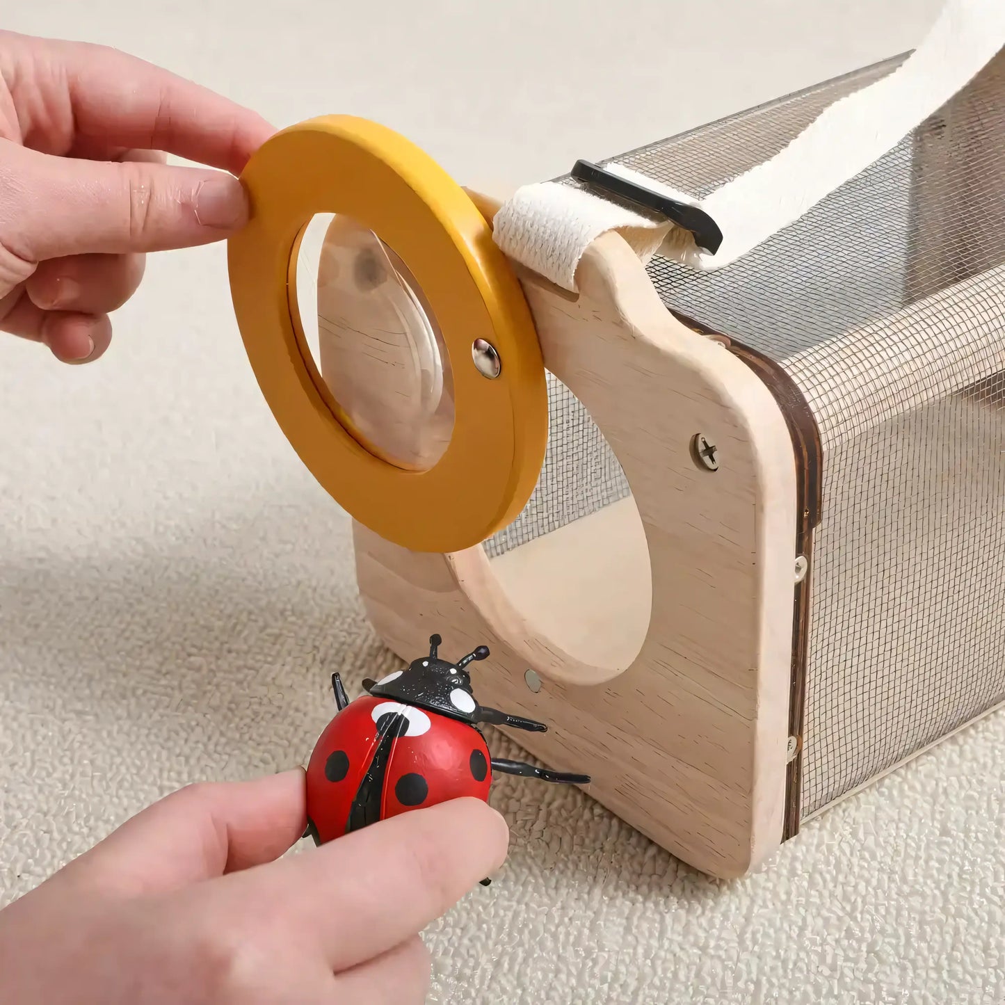 Little Bug Boss Discovery Kit - Let There Be Cute