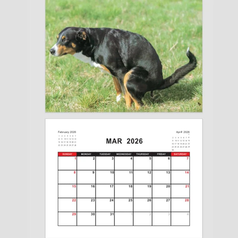 Dogs Pooping in Beautiful Places – 2026 Wall Calendar - Let There Be Cute
