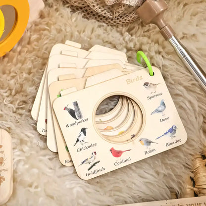 Little Bug Boss Discovery Kit - Let There Be Cute